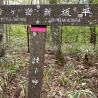 山登り