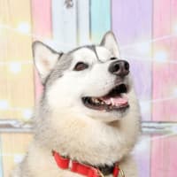 ブログのお引っ越し