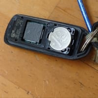 頭良いね‼
