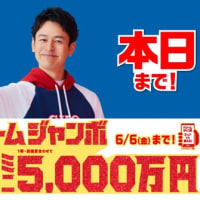 夢を現実に