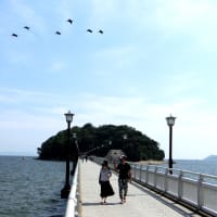 ６月の水辺の風景