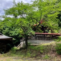 大蔵経寺山（だいぞうきょうじやま）