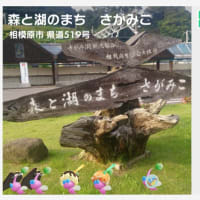 高尾駅〜堂所山〜相模湖駅