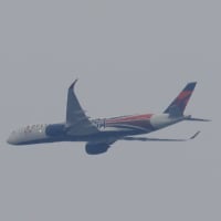 最近撮った特別塗装機（DELTA）