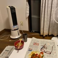 2025/07/09　やれやれ