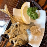 釣りができる居酒屋！ざうお！