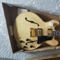 またエレキギター購入