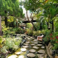 ミニミニ遊歩道　植物園