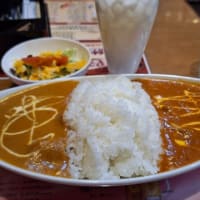 インド&ネパール レストラン&バー シリザナ「ダブルカレーセット」(佐倉市)