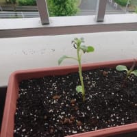 雨が・・・
