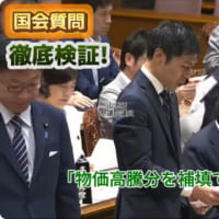 【国会質問徹底検証！】医療危機打開を！消費税減税／2025年5月19日予算委員会