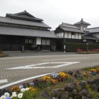 高知県安芸市では、岩崎弥太郎生家を見た後、土居廓中という重要伝統的建造物群保存地区」で、野村家住宅、安芸城址、野良時計を見ました