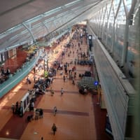 羽田空港で絶品なハンバーガーどうでしょう
