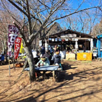 久しぶりの登山