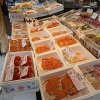札幌を満喫しました