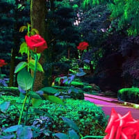 薔薇の公園