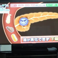 8.ガツテン　すい臓がん　2018.10.20「12」