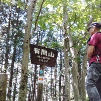 今日は歩いた！鳥首峠～タタラノ頭