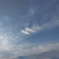 今日も。