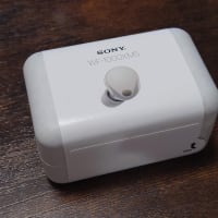SONY ワイヤレスノイズキャンセリングステレオヘッドセット WF-1000XM5