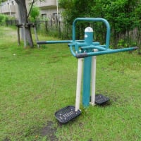 朝の散歩（2025/5/20）・・・姶良市加治木町春日公園方面