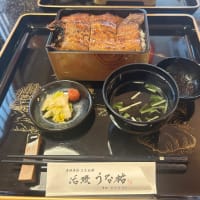 『三方五湖の鰻を食べたい』