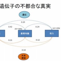 『非共有環境』『遺伝的な素質の変化』『エピジェネテイック』