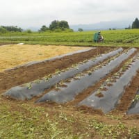 風景を見て、歩いて帰ります
