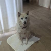 謹賀新年