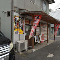 イカ丼