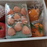 CAPIMA(キャピマ)の案件でフルーツ