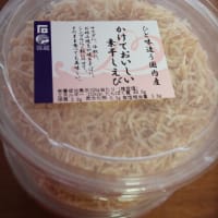 2024年10月5日～　墓終いの旅で愛媛へ　最終話　その15  チェックアウト前にお城に行ってからチェックアウト東京へ