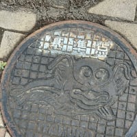 ナマズのマンホール