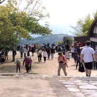 新緑の高尾山