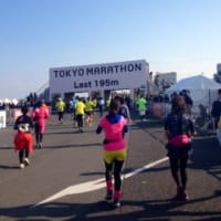 東京マラソン2014　Part3　