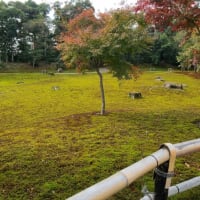 〜修学旅行4日目〜