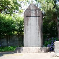 平塚発祥の地「平塚の塚緑地」