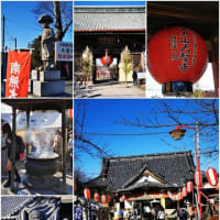 初詣　大相模不動尊・日枝神社