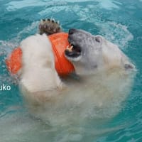 鹿児島でのライト君（2023年＆2024年）