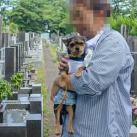 ター坊とお墓参り