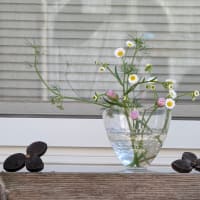 野の花