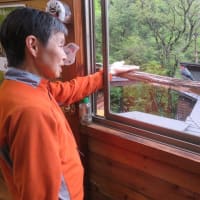 凡のひとりごと　　山小屋ライフ　野鳥