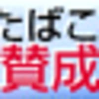 マイルドセブン名称変更 理由は外国の マイルド 等表記禁止対策 タバコってなんですか