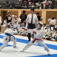 泉北空手道選手権大会で観た「空手道」の力　子どもたちのエネルギーで熱気ムンムン