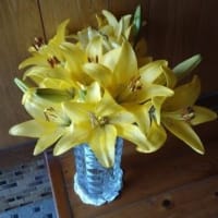 今年ダイヤから新しく出た糸・・・カプリでぐるぐる帽子を編みましたよ～～！！