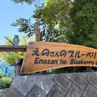 あつあつ　べりー。