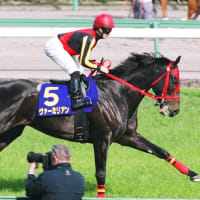 冬の交流ＧⅠ・川崎記念の登録馬発表！