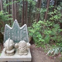 久し振りに金剛山に登った２