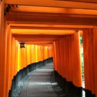 そうだ、京都行こう★