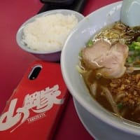 鉛飛散防止ネット